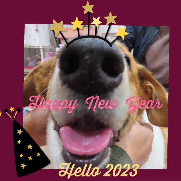 1e49d86e eef3 490e a865 30a4540b3d99 1672622227364