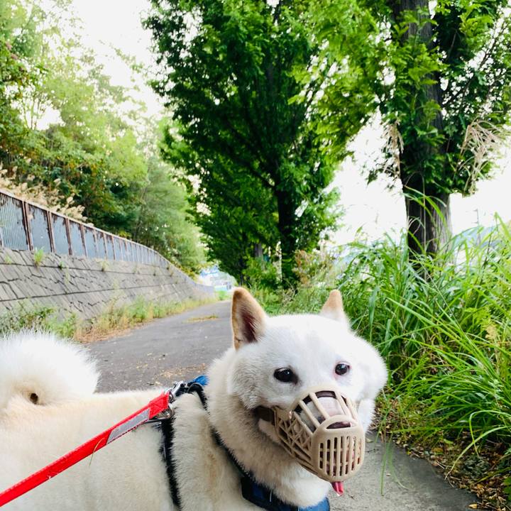 1e49e003 11c4 4f7f ab84 7c2bcd793ecc 1632783082097