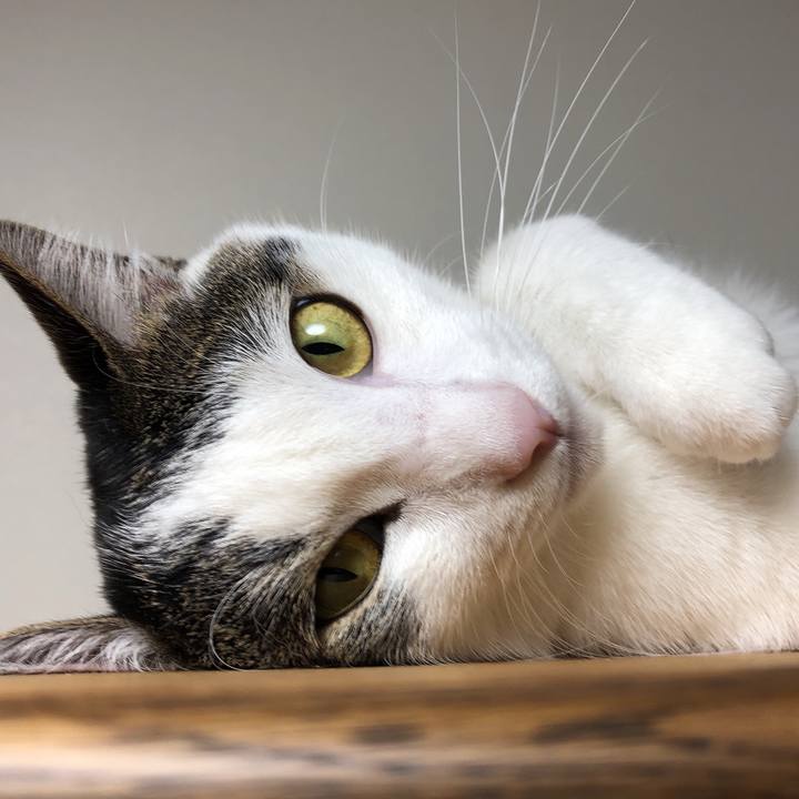 1e4a137e 6098 4b94 ba89 45fa4ac9ec76 1599909010053