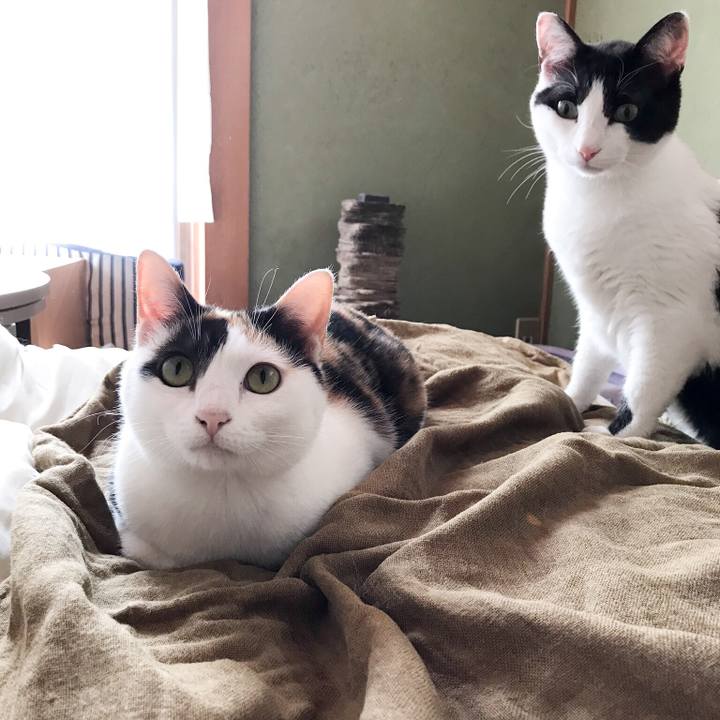 1e4a4357 3ada 4dc4 8a1b 1963f4937265 1528337480268