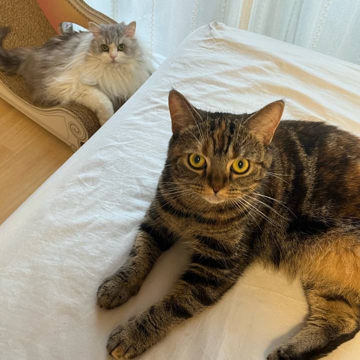 1e4a52e8 f07b 491c 84cc c9623ae73e4a 1665310779577