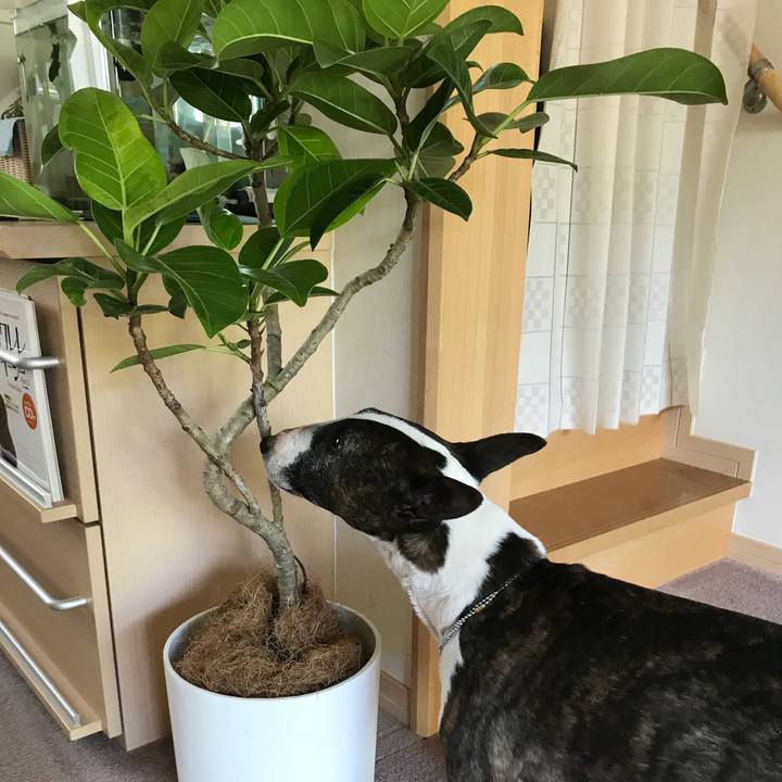 1e4acd4e 943d 4779 b0f0 194351f1b72a 1524894161224