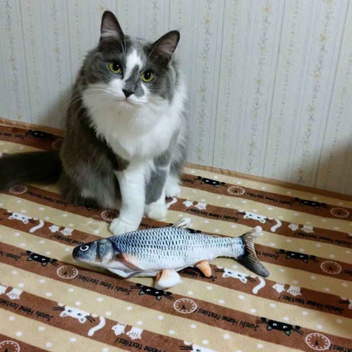 1e4ace58 d1ab 4b54 9e04 64248c3c2522 1601724158041