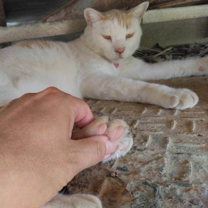 1e4ad4ed 7c4e 47ec 997a abb971b624f7 1693290768198