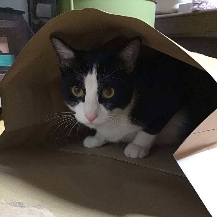 1e4ad739 0a66 477f 9e84 f949166cd9c1 1651139445940