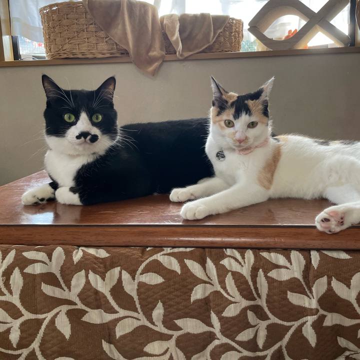 1e4ae4ab a151 471c acef 73e34c2ec148 1668999921242