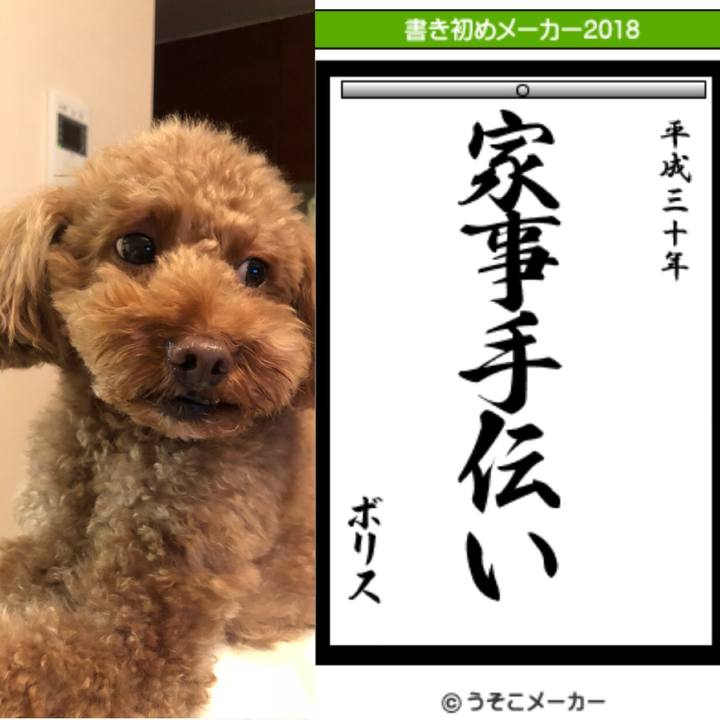 1e4aee24 e925 48af a4f5 48807cba8bbe 1514942832294