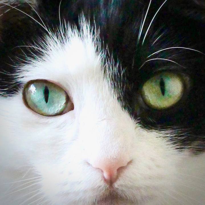 1e4b00e2 ff97 4bda 8b68 e6885d32d422 1593129142331