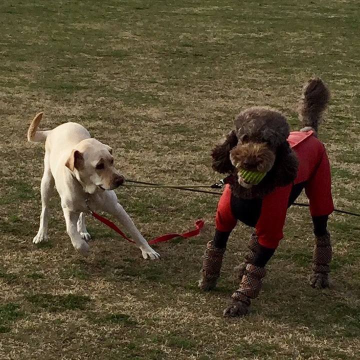 1e4b3dab 466f 4bb3 b4bf a1081c8588ae 1553742225276