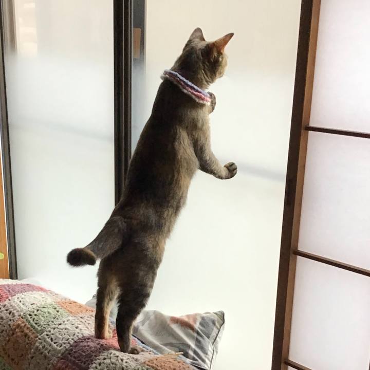 1e4b69ec 70c0 49bf 934c beef72d6818f 1625008270418