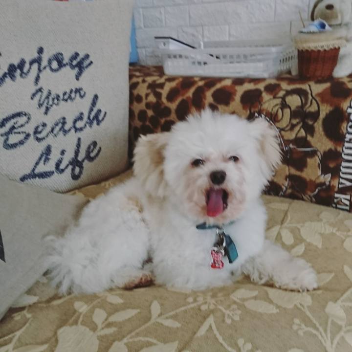 1e4ba635 2f44 40b0 b33a 86a0897266ea 1519640645943