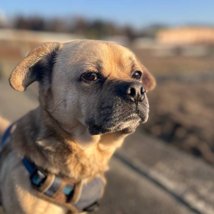 1e4bb646 c0a0 45e7 b7e5 81bf63f68d5c 1771107895433