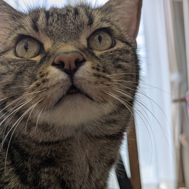 1e4bb844 6e14 4539 93c4 67656f4497ea 1747201216539