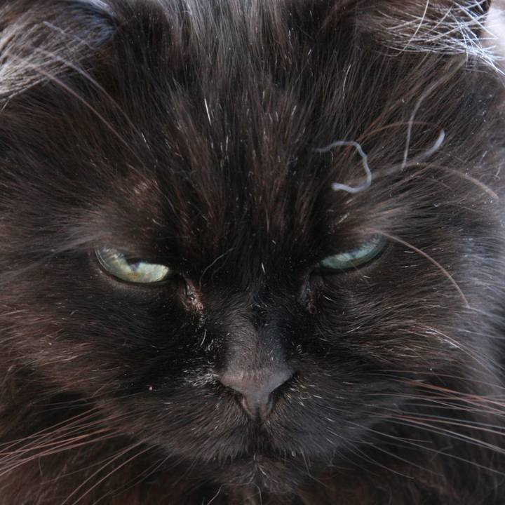 1e4bc2f7 751a 469f 9031 3970aff1c309 1521267106046