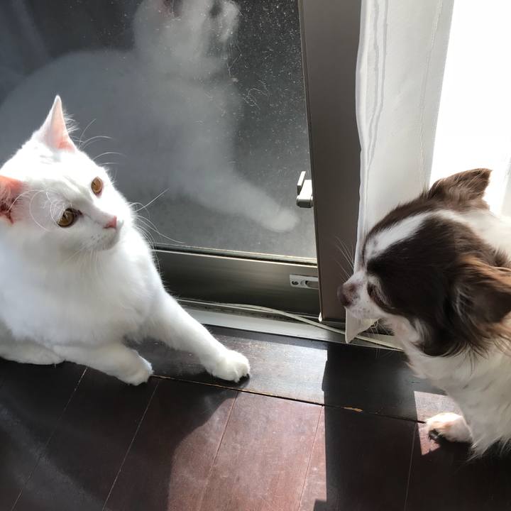 1e4bdc9a 6986 49a1 b991 024d7b5038d3 1518927050069