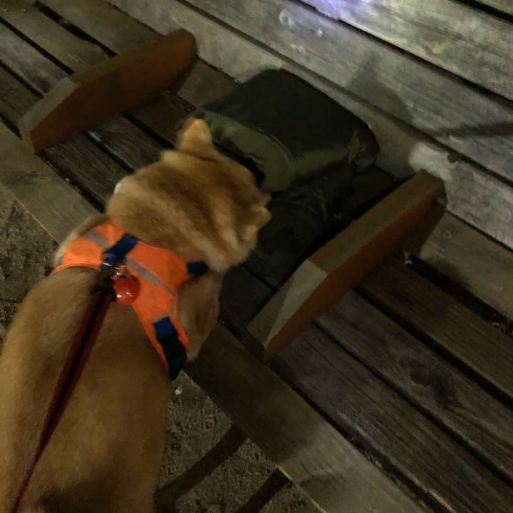 1e4c0fdf d2d5 4fea bcba b03d535b280f 1555026325168