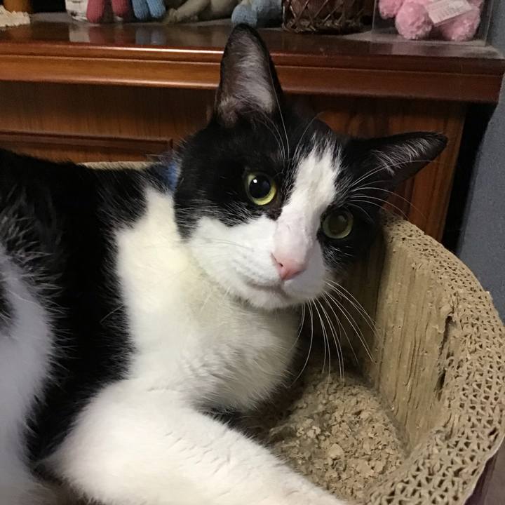 1e4c3185 89d0 48fa b0e3 12b00fd079f3 1753964106713