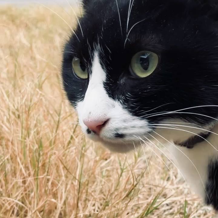 1e4c5ed9 c315 41ef 9422 50eab910e80f 1733717285220