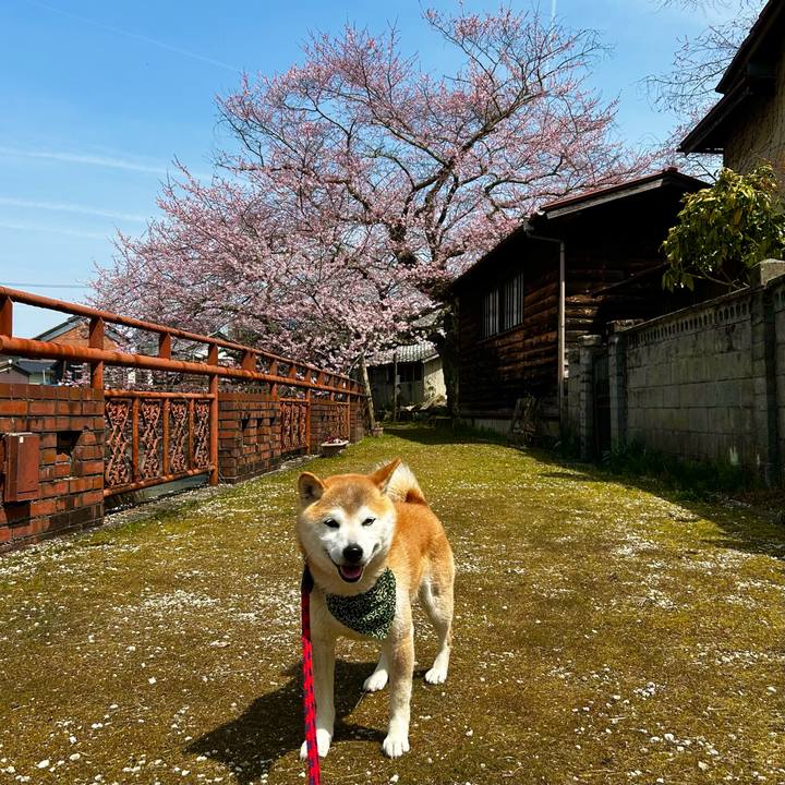 1e4c6564 cddd 4ec8 a561 963056bb1350 1712055569267