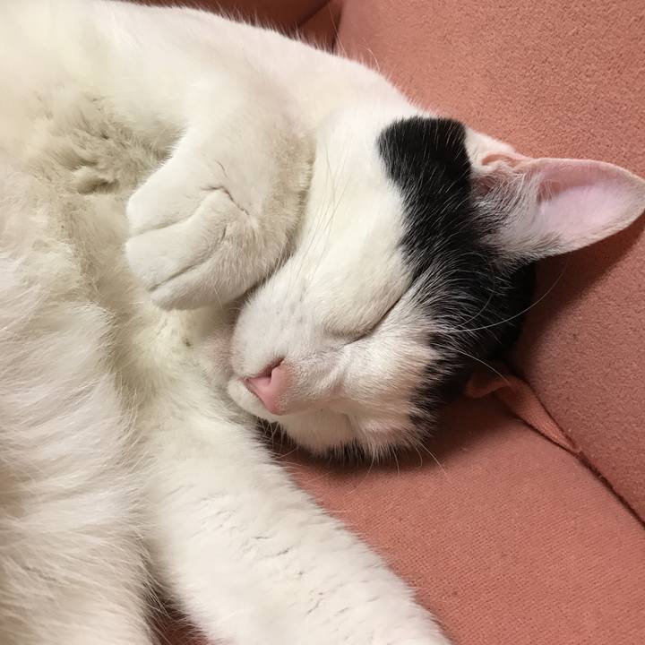 1e4c8ab8 98bb 4ada 8334 235462399879 1524908193140