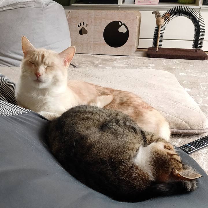 1e4c9d98 e038 4003 9d64 e40de2a703ef 1683550416871