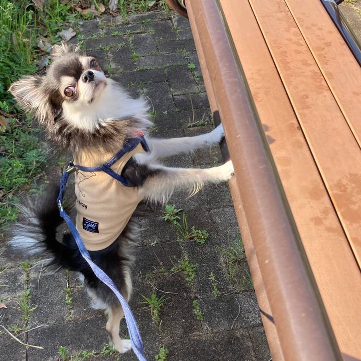 1e4cb4f6 cc54 4d20 abba 1c50dce1756e 1680349539967