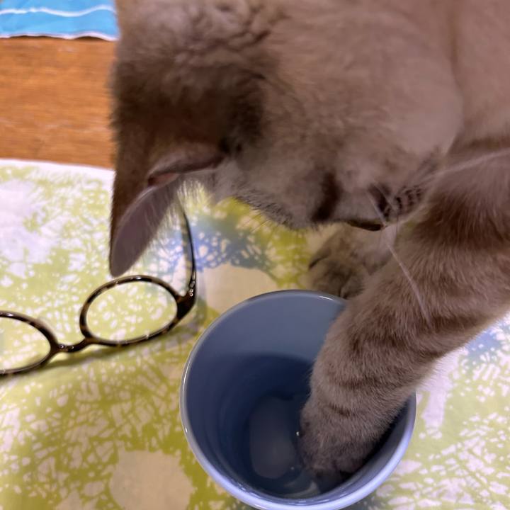 1e4cdcab 027a 4a74 b470 699fce3a9b2a 1745759873989