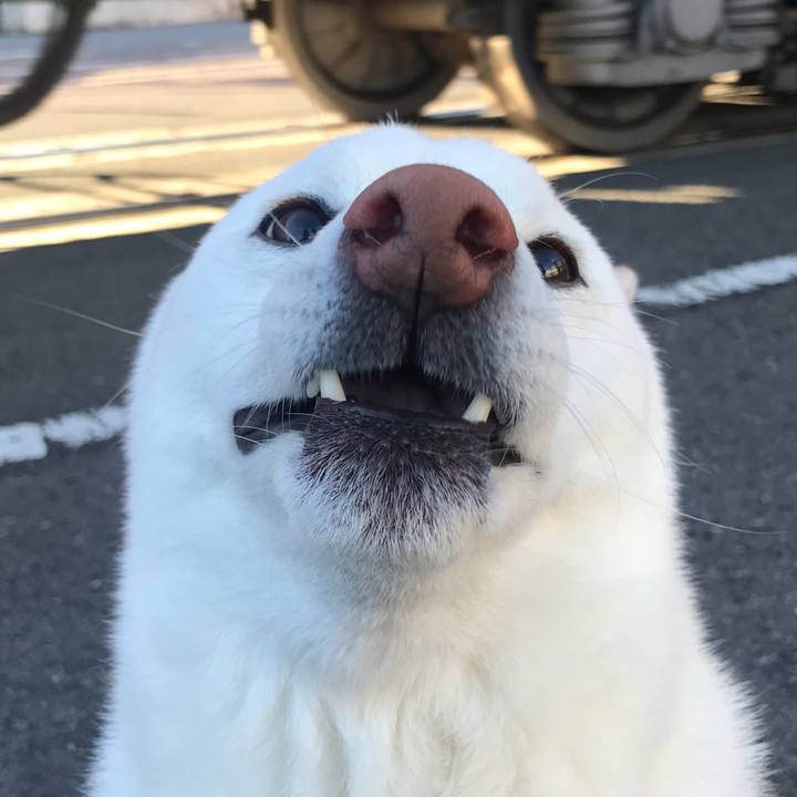 1e4d0853 4ccd 42a5 9309 b0708af7abb6 1523355322101