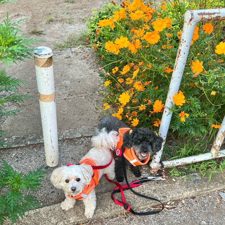 1e4d0a59 8e2d 4159 897d 2067ec61da0d 1756248755455