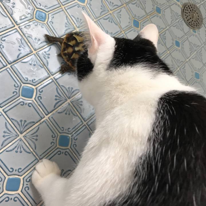 1e4d1cfb fa9b 489b 81f5 6887a327bfea 1531817318432