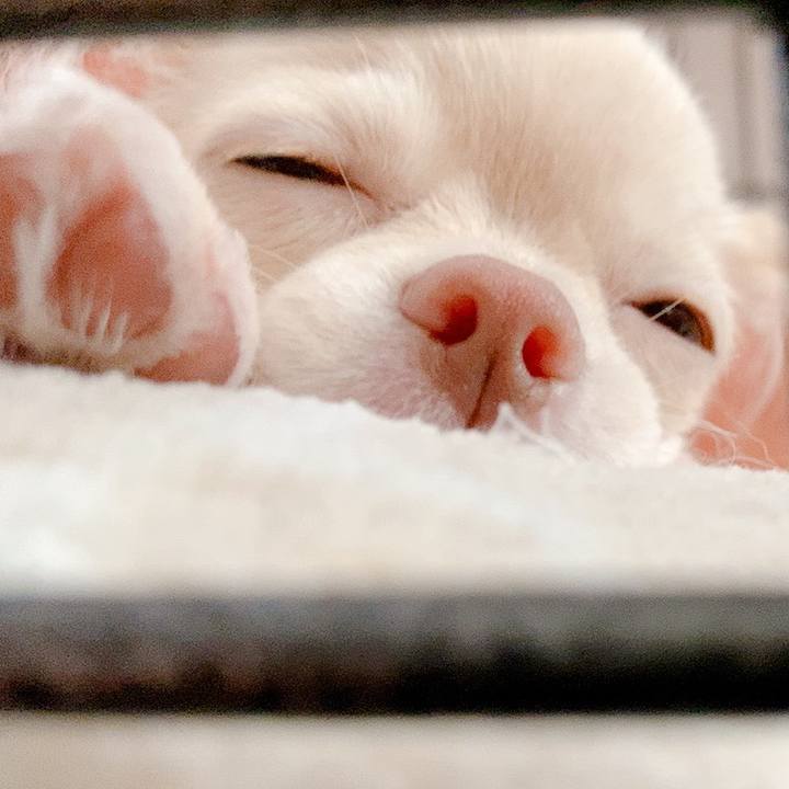 1e4d31fd ac1e 47d1 bf19 20ae35302254 1592309121163