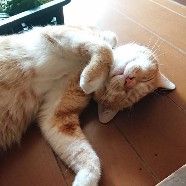 1e4d360d 4b0f 46e5 93a6 58dfa25b9030 1565836342827