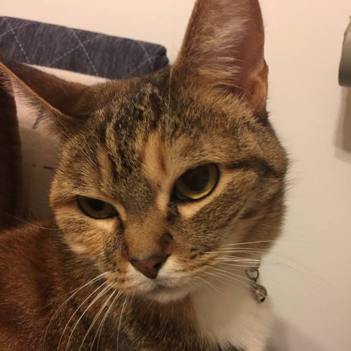 1e4d3cef 97c2 486b 8c9b 755c1edfc5a6 1550999769372