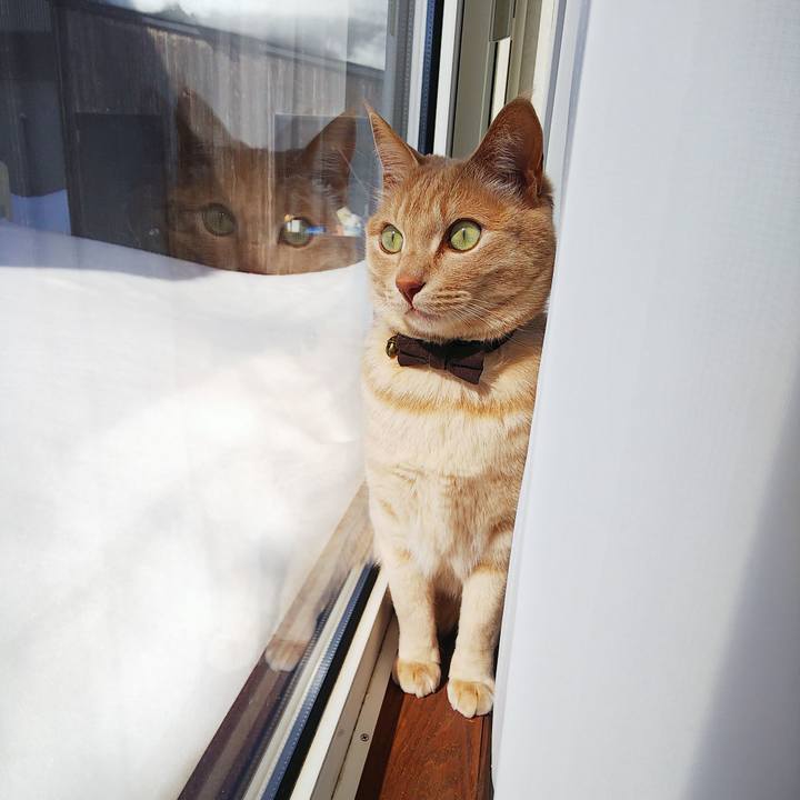 1e4d878d a2b4 410f 8550 1793769981bb 1646878076687