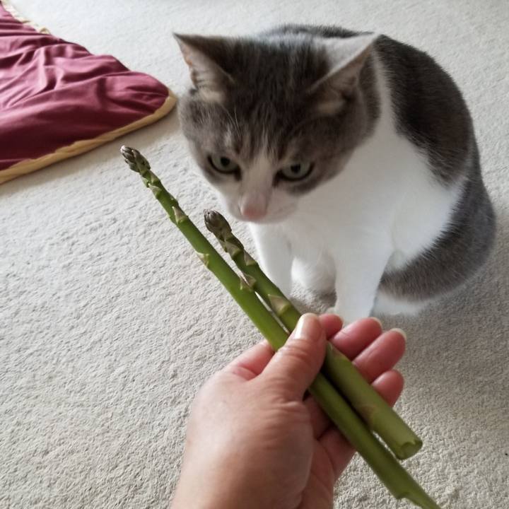 1e4dd71c d033 415e bbd1 76ec8c3f287b 1652540140901