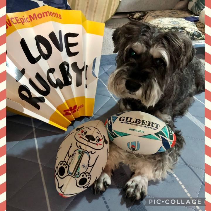 1e4e172b cf8b 4938 93de f93cba54e9bd 1694341607269