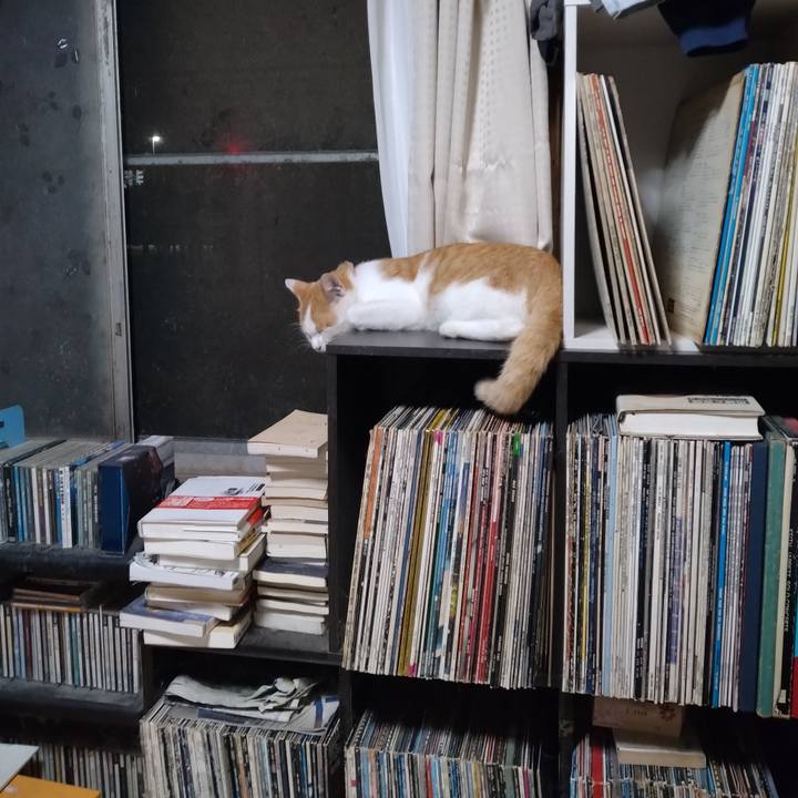 1e4e32da 2f77 46c5 8c7b 45c633f7d7eb 1754654884881