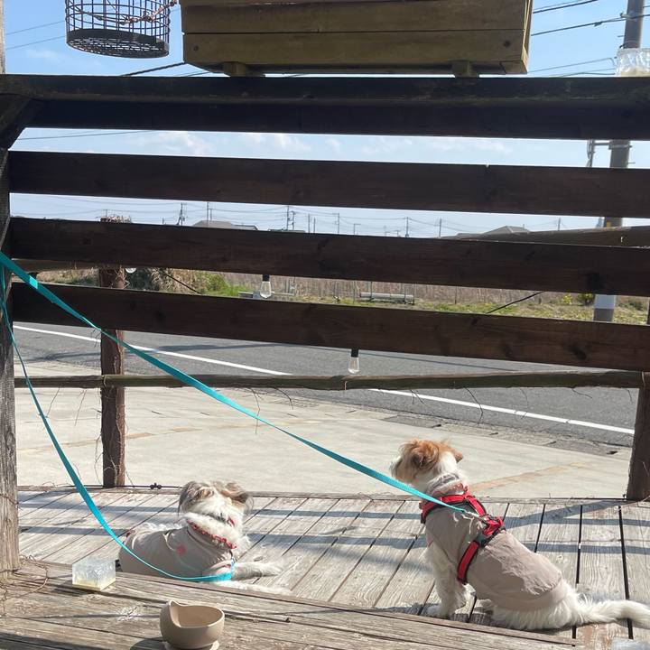 1e4e366f 959c 4e49 b9d9 74f9e6b264ff 1773314690831