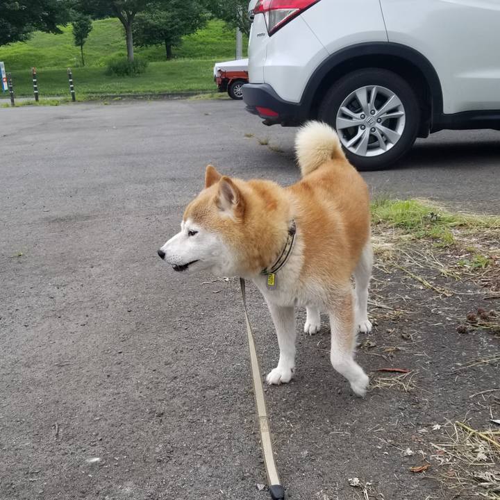 1e4e3ade 7922 4ec1 9874 b083f2646741 1658552446610