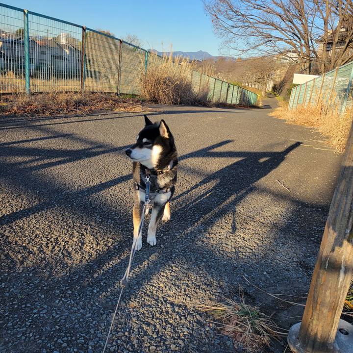 1e4e3c1b ce36 4c7e 88df 8e8cca39604b 1768345635678