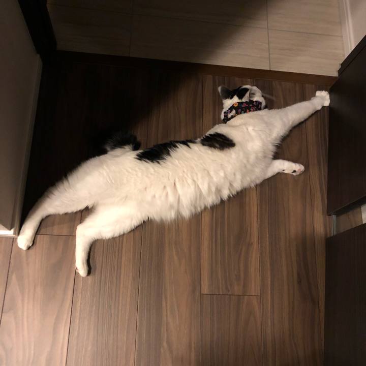 1e4e8666 3749 4f03 88e0 aa49919c2760 1524394529447