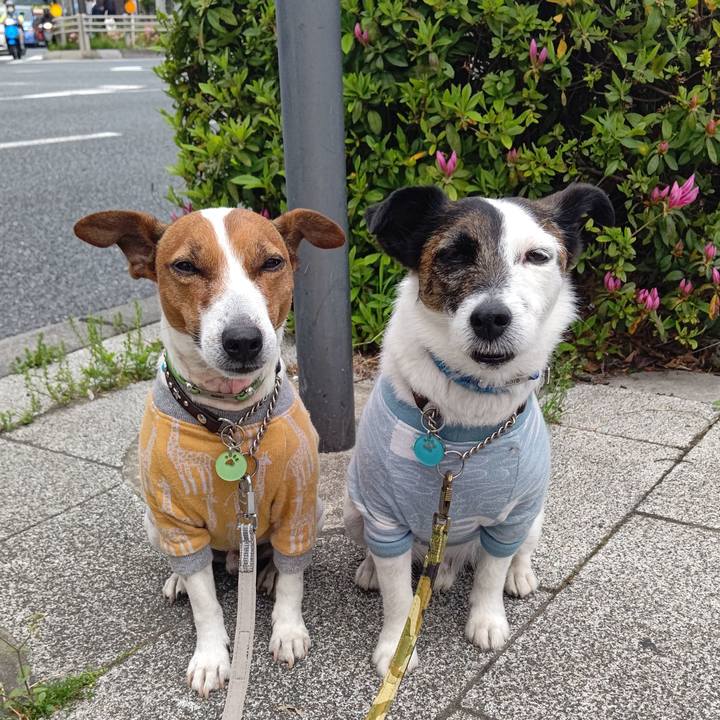 1e4eca12 660b 4d56 b3dd 695a4b05b01d 1680822177366