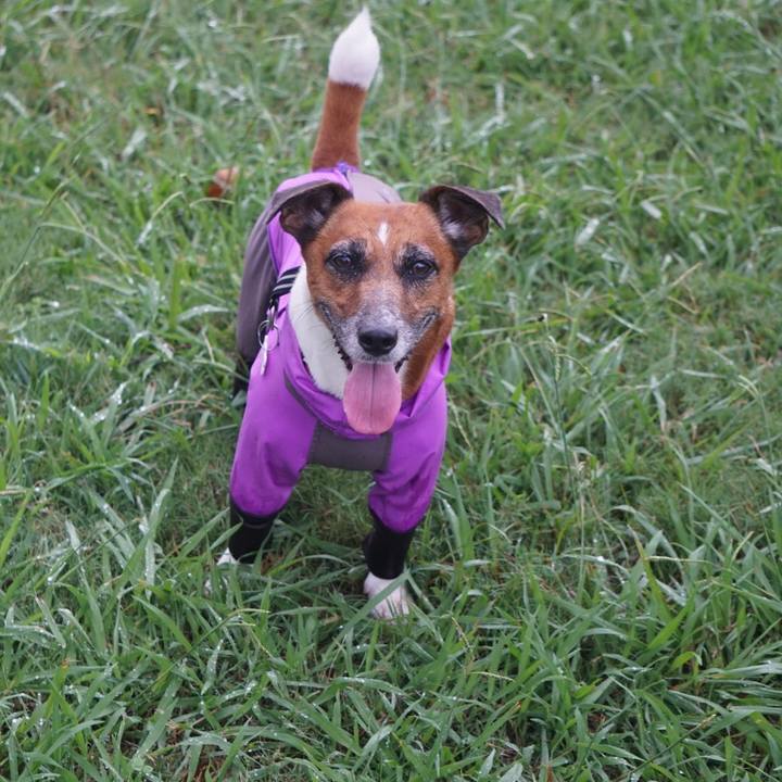 1e4f2120 e681 47ce a781 ef5183e4b54c 1570489692556