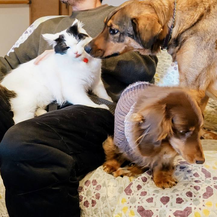 1e4f22e9 0c4a 4fc4 9261 70daf85b5256 1770773626289