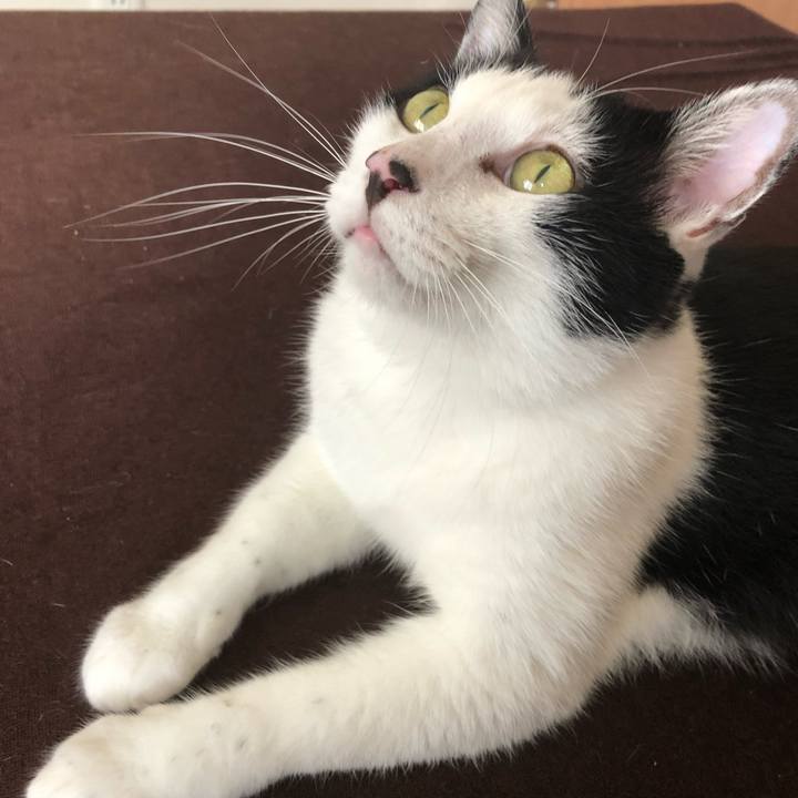 1e4f36a6 432d 4b73 ba06 74b7e0c22709 1567819679850