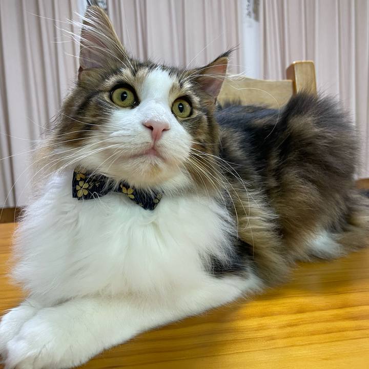 1e4f3c9a 31e6 4220 9a83 437c26da479c 1640079506100