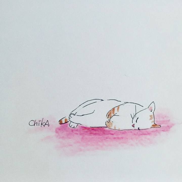 1e4f4fff 770c 4b66 83e4 715ff275cf97 1568023295353