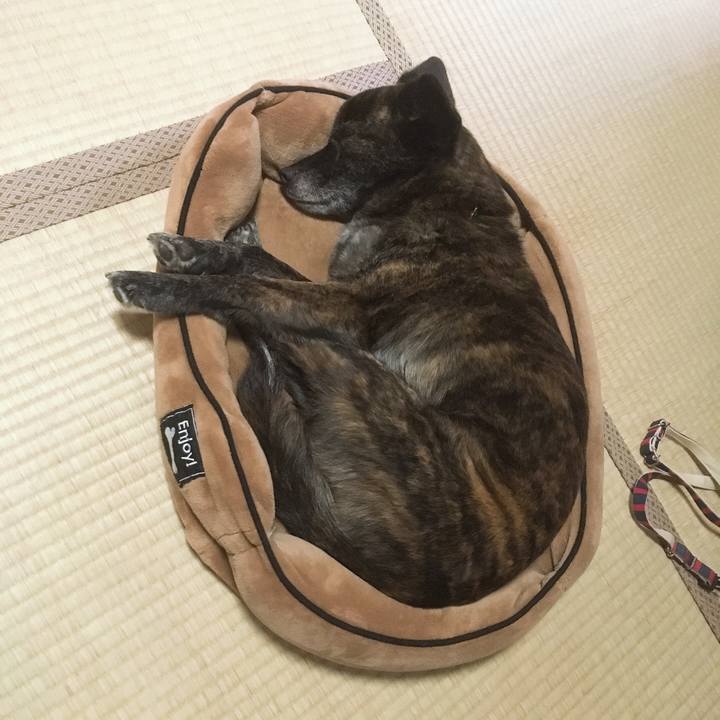 1e4f96c1 0785 415f 91b4 1393f1b4f2a3 1550578798835