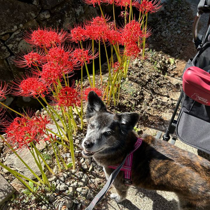 1e4f987b 423c 4abd a52c f2c0c286d37f 1728739528306