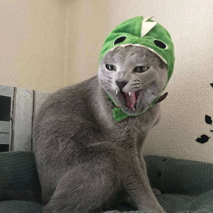 1e4fa17c 1c28 4b3e 8942 ad5aae01d8d6 1533449482407